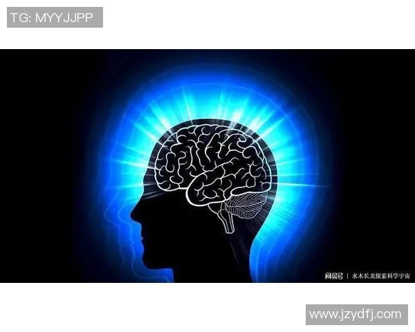 2017神秘人对决风暴揭示背后真相与未知力量的较量