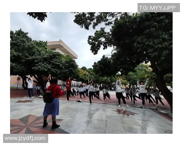 乒乓球魅力无限:深入了解上海乒乓球队的训练与比赛节奏 乒乓球魅力无限:深入了解上海乒乓球队的训练与比赛节奏