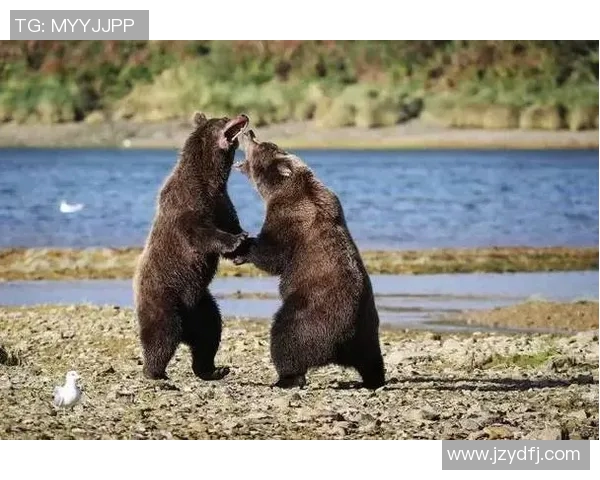 广州极限运动队的耐力挑战与成长之路探秘MBA 广州极限运动队的耐力挑战与成长之路探秘MBA