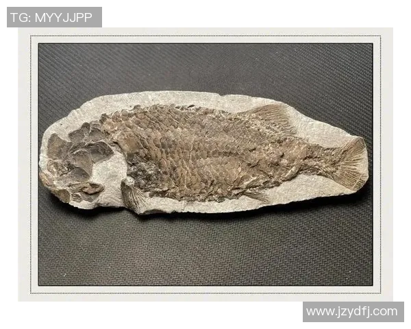 探索阿拉巴的魅力与文化遗产揭示其在历史与现代交融中的独特地位 探索阿拉巴的魅力与文化遗产揭示其在历史与现代交融中的独特地位