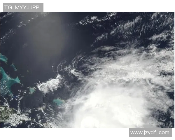 飓风与亚自由的实力对比究竟谁更强大分析与探讨