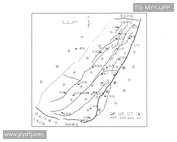 南京排球队的战术解析与控制技巧深度探讨
